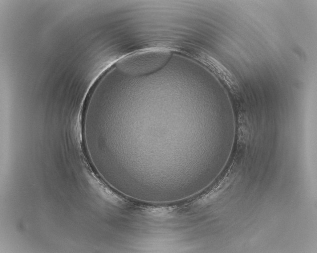 X0000116020892200911201232