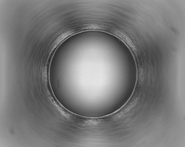 X0000116020898200911201232