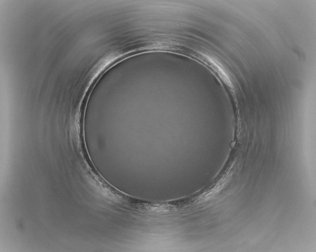 X0000116020899200911201232