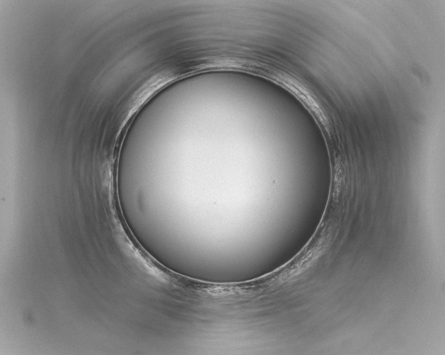X0000116020906200911201232