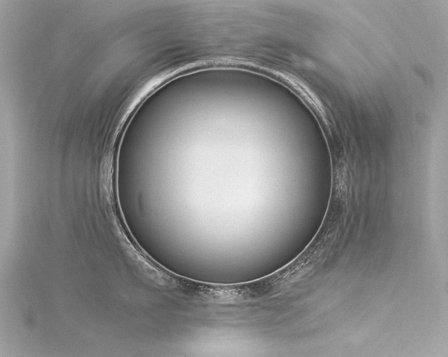 X0000116020911200911201232