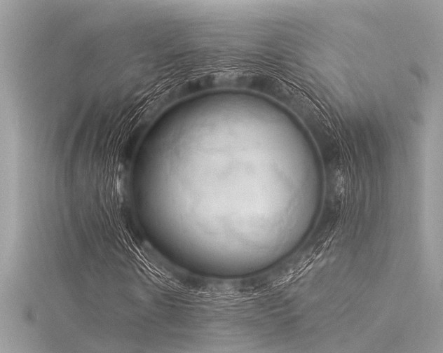 X0000116020914200911201231