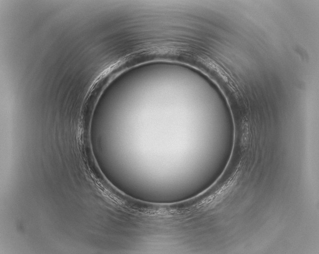X0000116020922200911201231