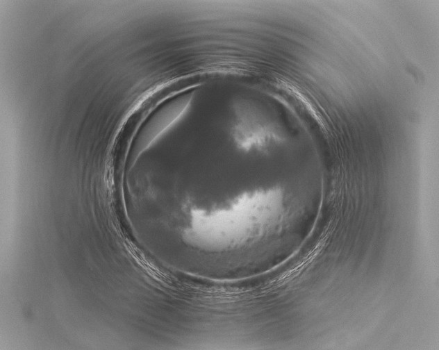 X0000116020923200911201231