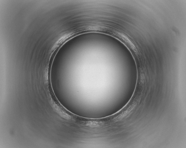 X0000116020938200911201231