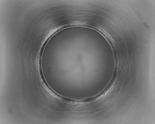 X0000116020941200911201231