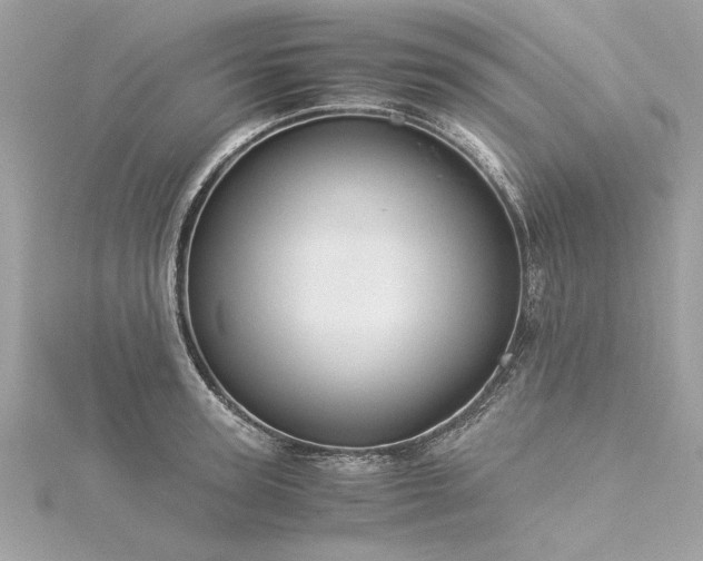 X0000116020947200911201232