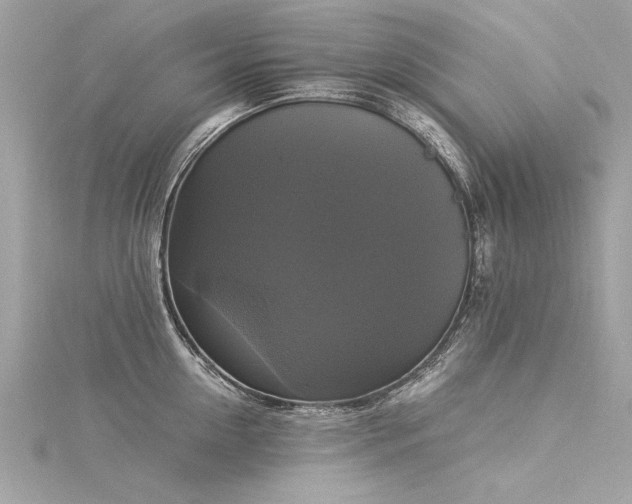X0000116020954200911201232