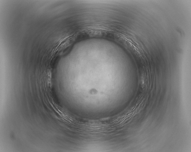 X0000116020964200911201231