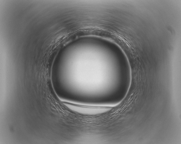 X0000116020965200911201231