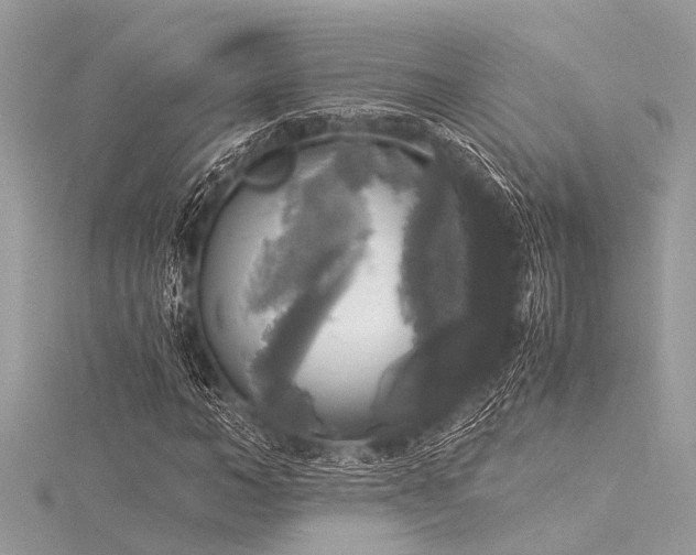 X0000116020966200911201231
