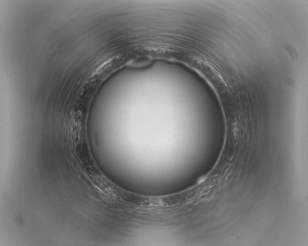 X0000116020968200911201231