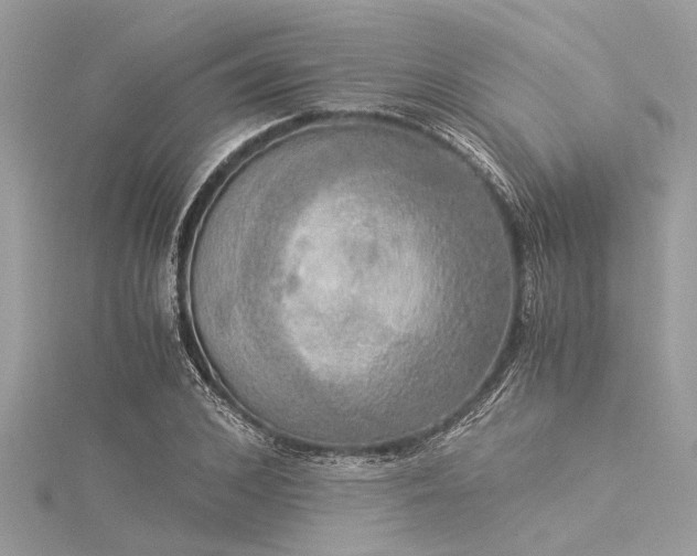 X0000116020976200911201231