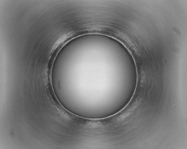 X0000116020978200911201231