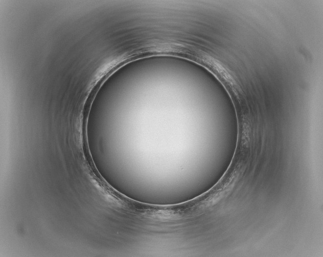 X0000116020986200911201231