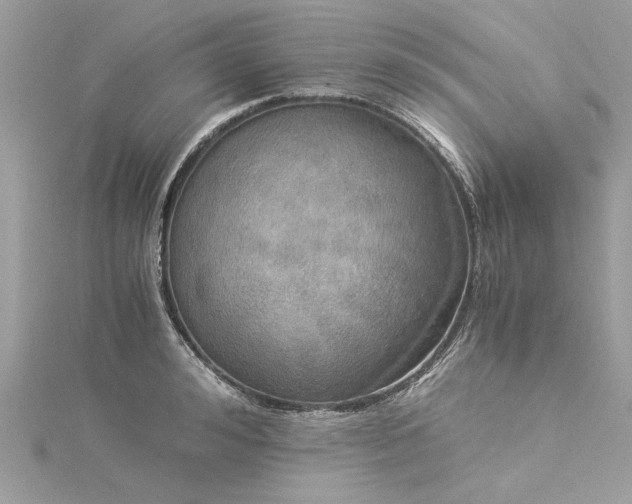 X0000116020992200911201231