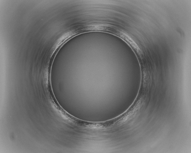 X0000116020994200911201231