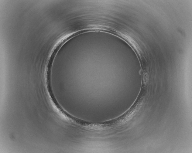 X0000116020995200911201231