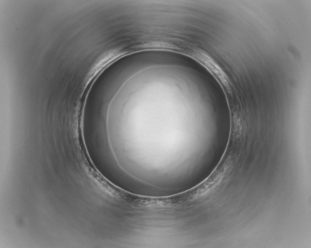 X0000116021002200911201231