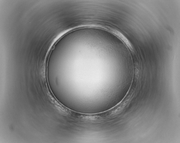X0000116021004200911201231
