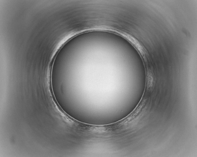 X0000116021006200911201231