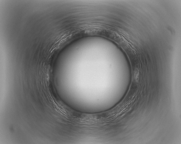 X0000116021012200911201230