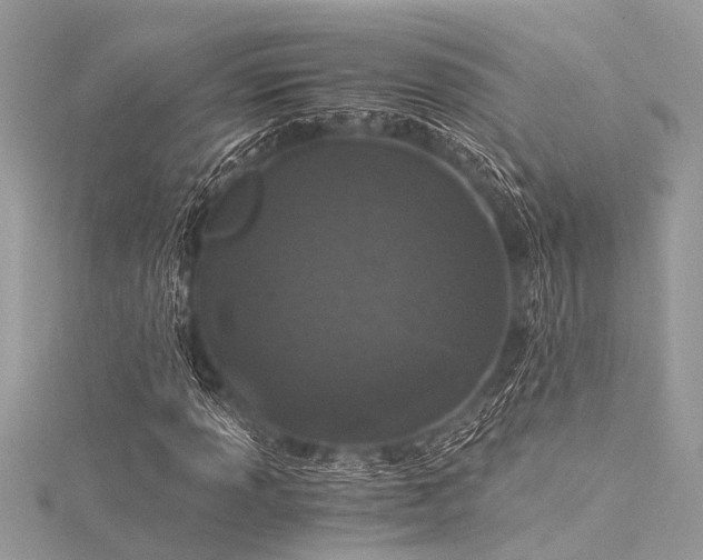 X0000116021013200911201230
