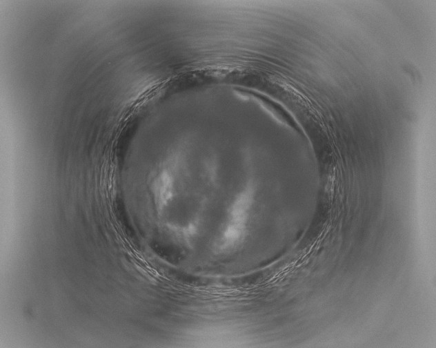 X0000116021014200911201230