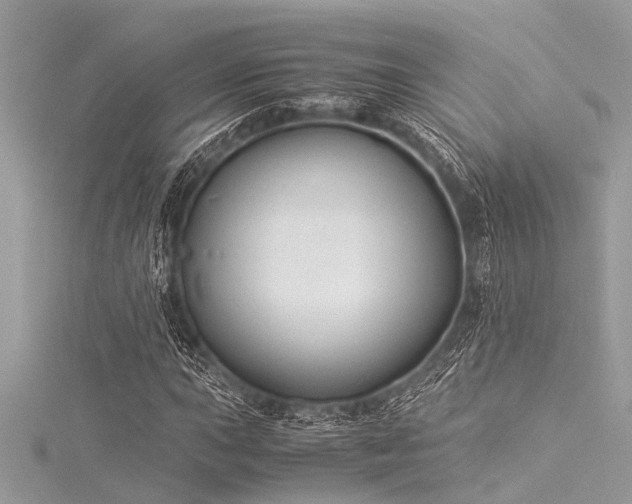 X0000116021015200911201230