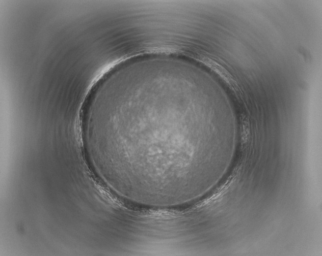 X0000116021022200911201230