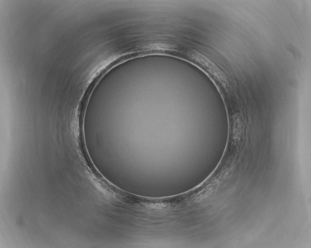 X0000116021031200911201230