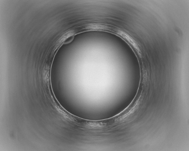 X0000116021049200911201230