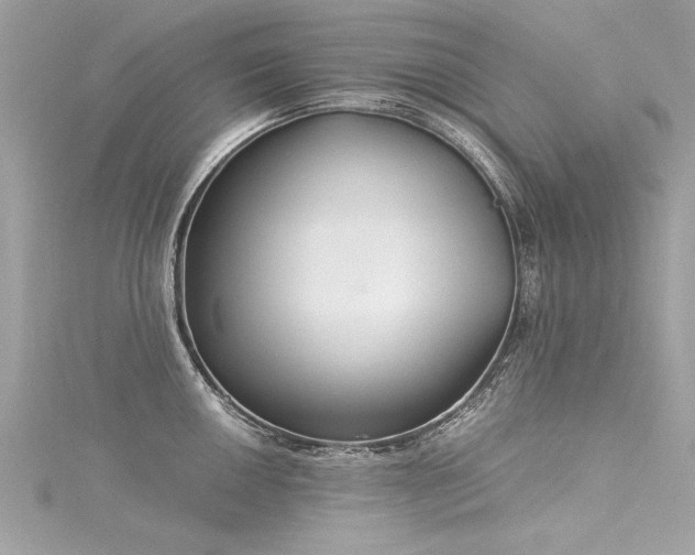 X0000116021050200911201230