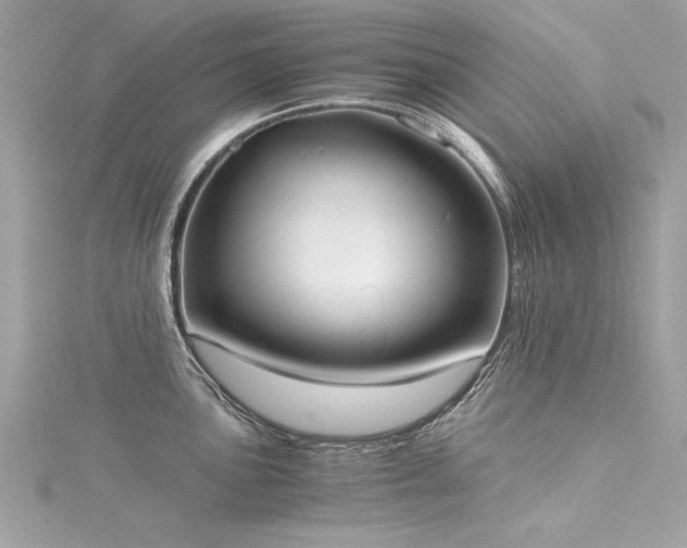 X0000116021051200911201230