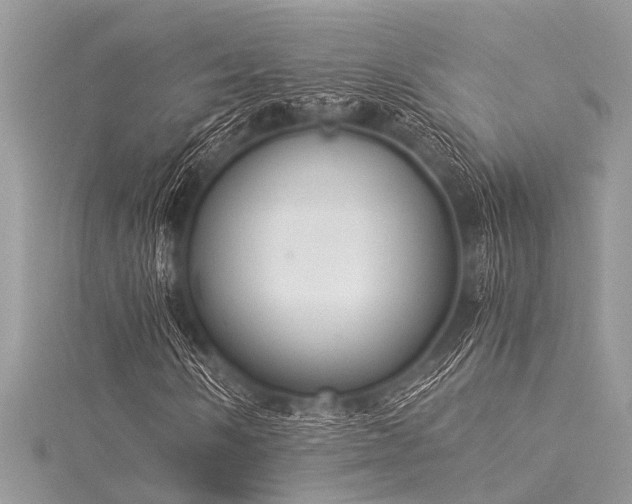 X0000116021058200911201230