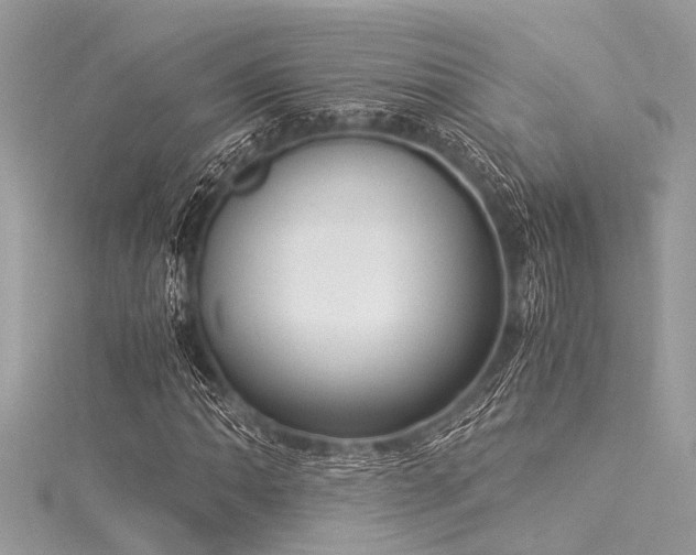 X0000116021062200911201230