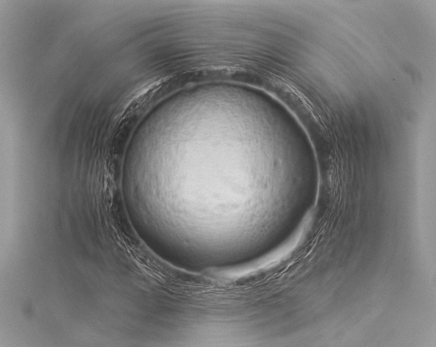 X0000116021064200911201230