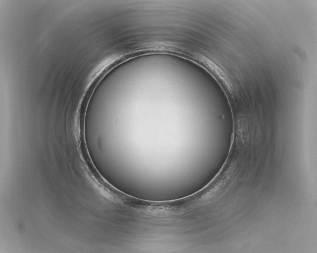 X0000116021082200911201229