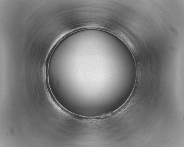 X0000116021092200911201229