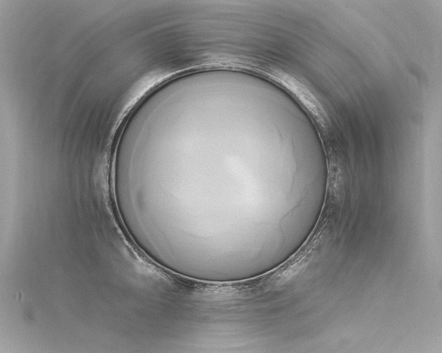 X0000116021094200911201229