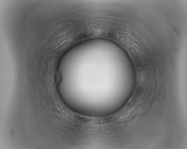 X0000116021105200911201228