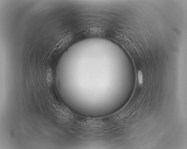 X0000116021107200911201229