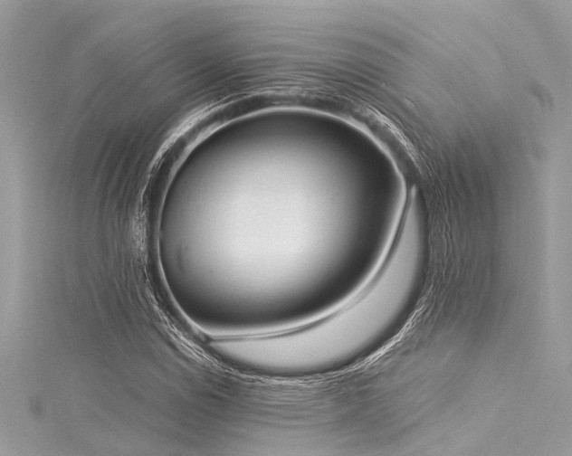X0000116021114200911201229