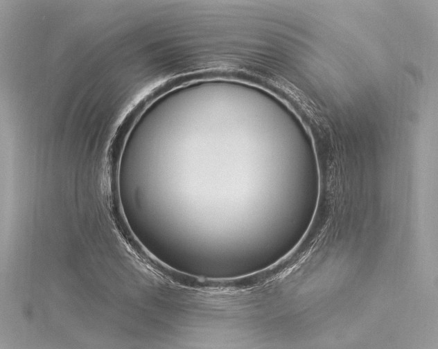 X0000116021118200911201229
