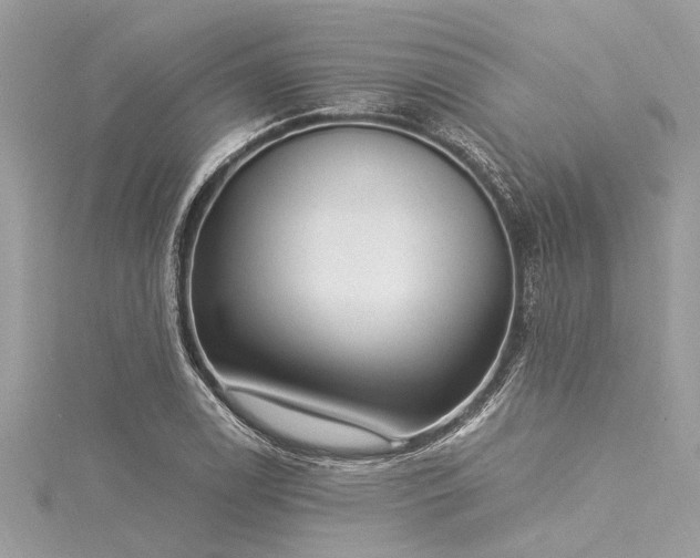 X0000116021122200911201229