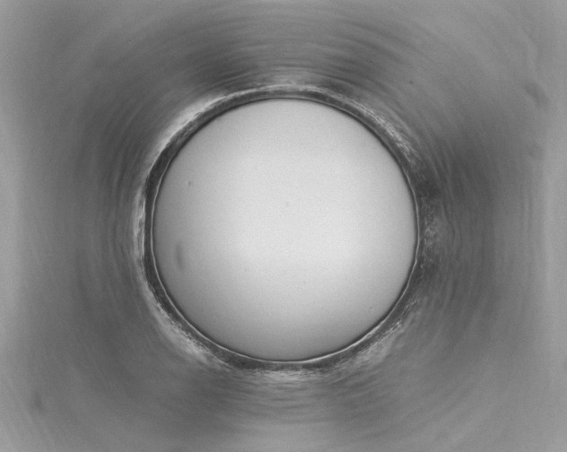 X0000116021126200911201229