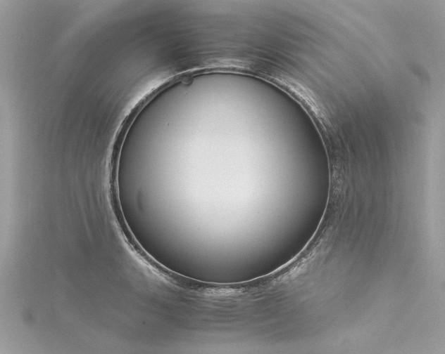 X0000116021135200911201229