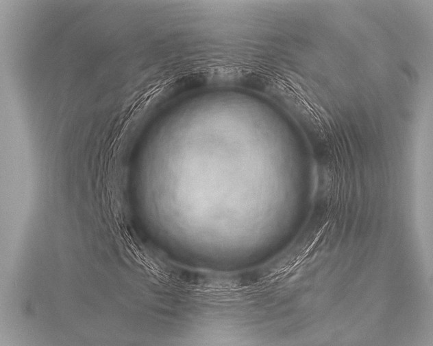 X0000116021153200911201228