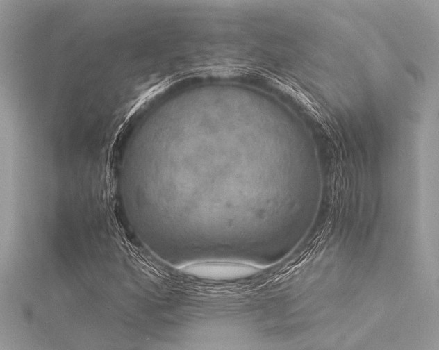 X0000116021160200911201228