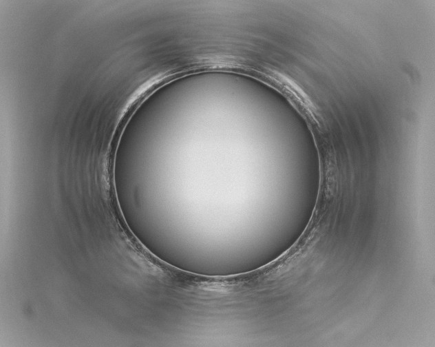 X0000116021182200911201228